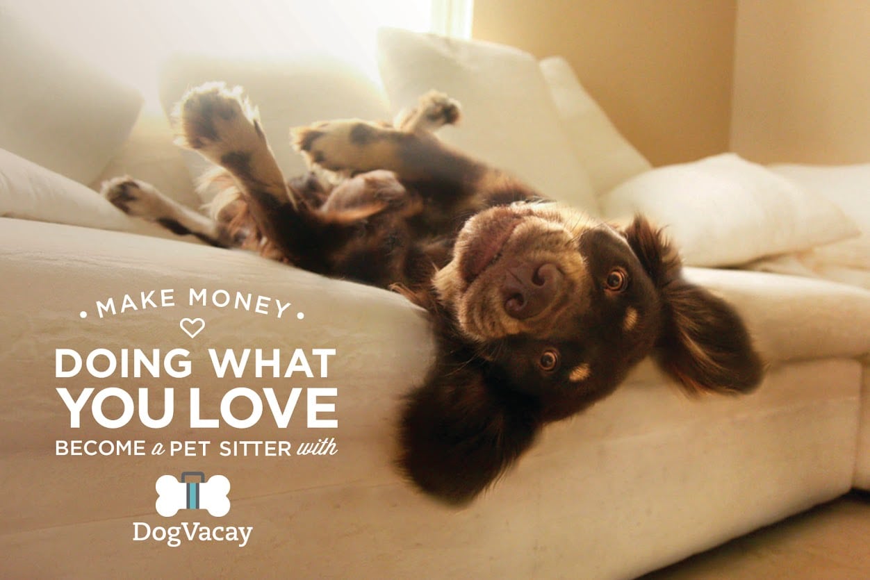 Can't take Fido with you on vacation? Here's the perfect Kennel Alternative for your dog. It's like home for your pet and worry free for you! (sponsored)