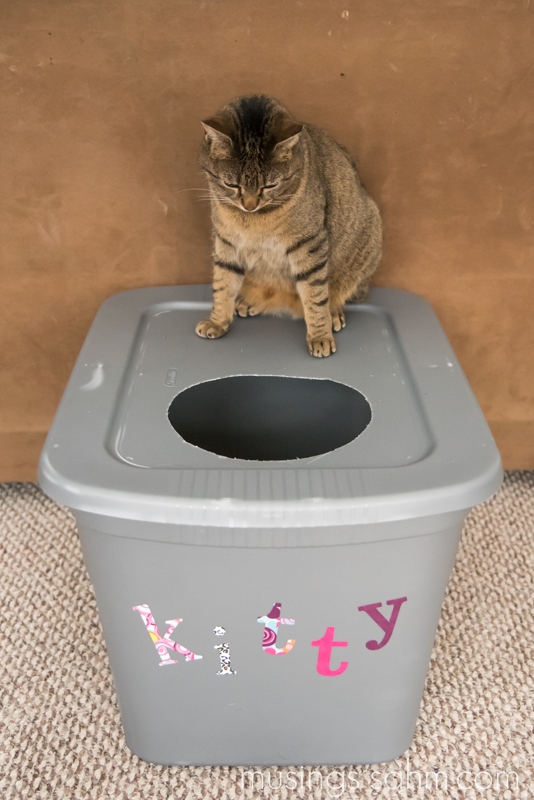 The Original DIY Mess Free Cat Litter Box Living Well Mom