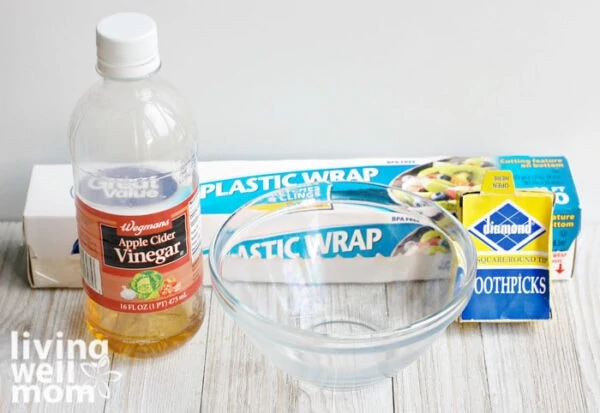 Supplies for a DIY fruit fly trap - bowl, plastic wrap, apple cider vinegar