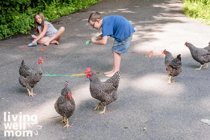 Children playing with DIY sidewalk paint while chickens watch