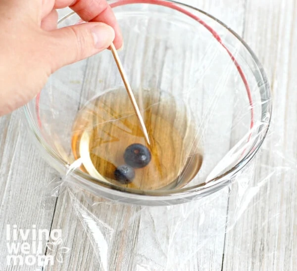 Poking holes in a fruit fly trap