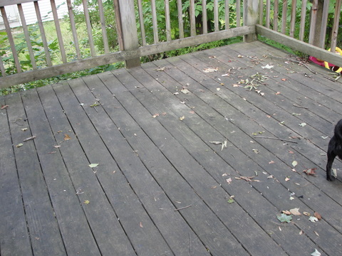 dirty wooden deck floor