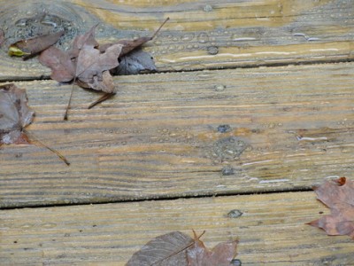 deck board protected from water with leaves and water droplets