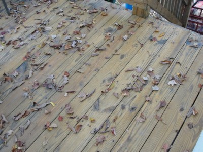 deck treated with Thompson's Waterseal product with dead leaves