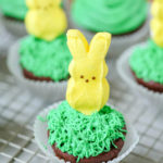 chocolate cupcakes with a Peep on top