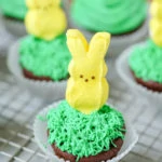 chocolate cupcakes with a Peep on top