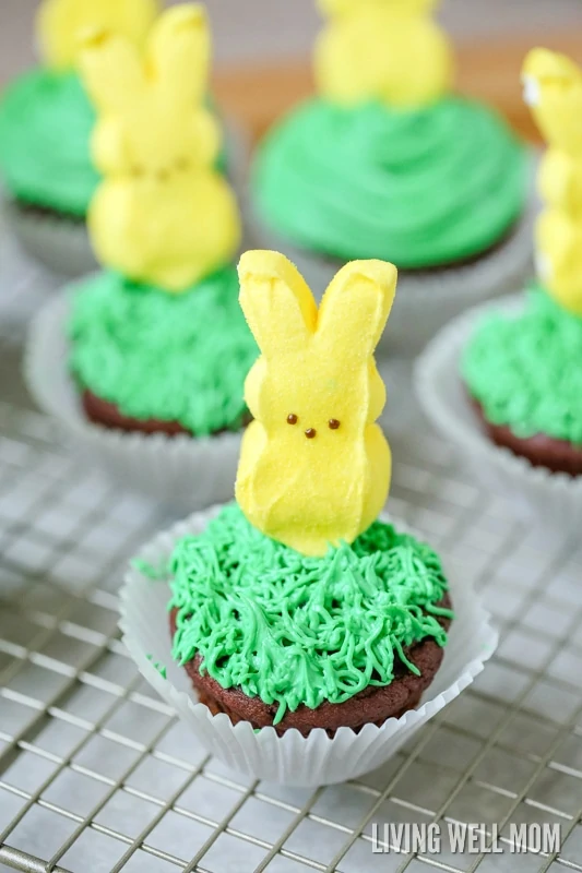 Easter Bunny Cupcakes