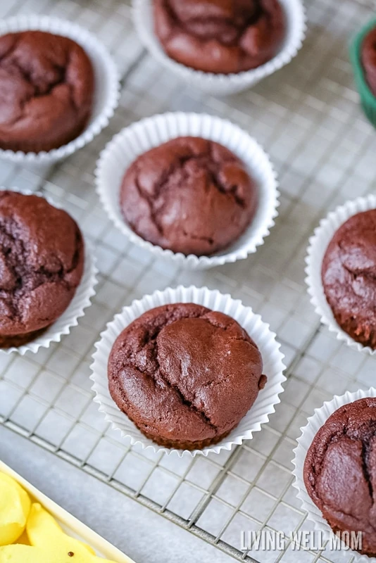 chocolate cupcakes cooling on metal rack