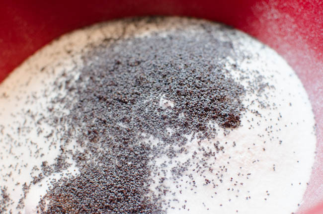 flour and poppyseeds in red mixing bowl