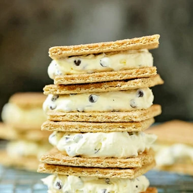 delicious graham cracker ice cream sandwiches stacked together