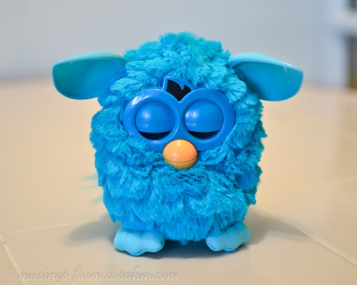 fluffy furby