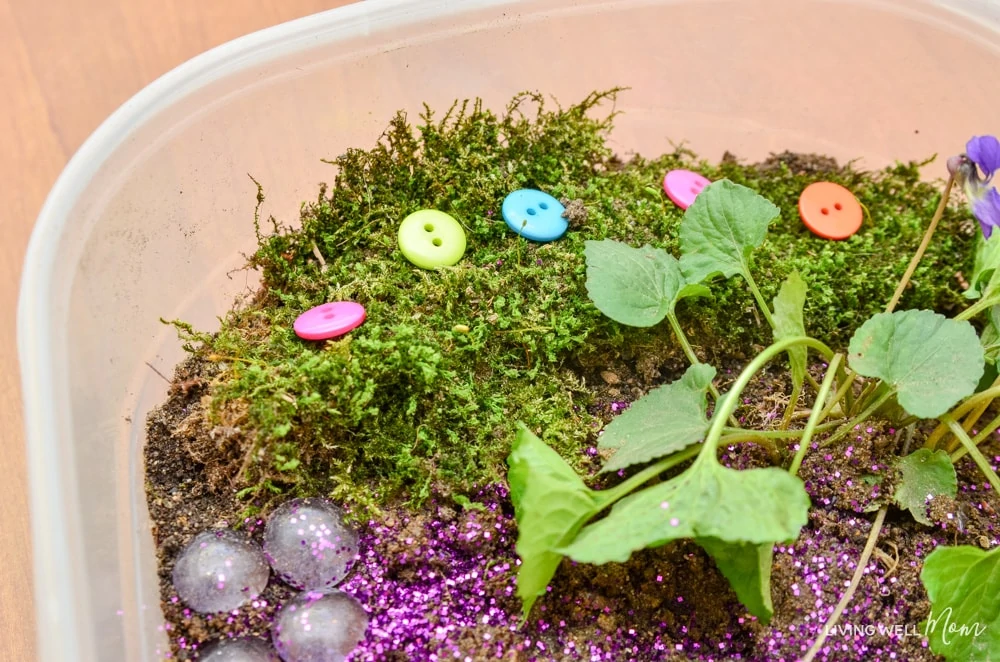 Moss and leaves in a homemade fairy home. 