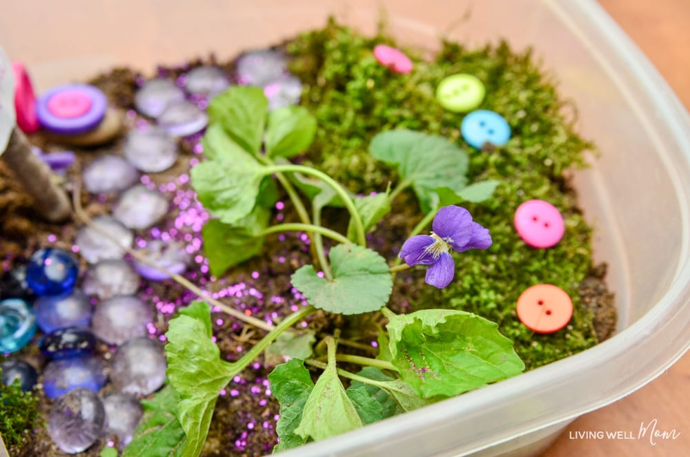 Leaves and colorful stones in a DIY fairy garden. 