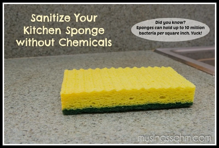 Sanitize Kitchen Sponge (2)
