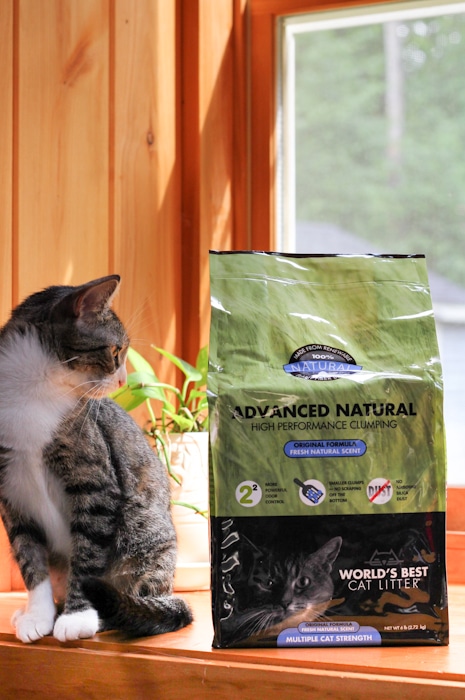 World S Best Cat Litter Advanced Natural Series A Scoop Above The Rest   Catandworldsbestcatlitter 