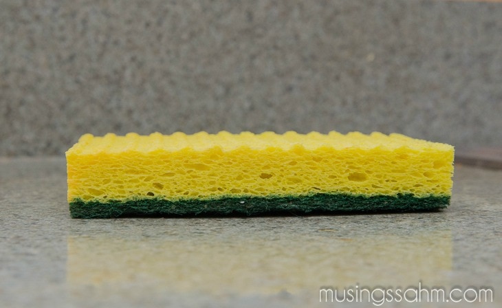 kitchen sponge