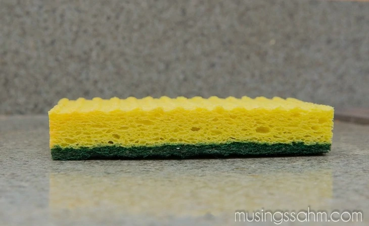 Need-to-Know Info About Your Kitchen Sponge