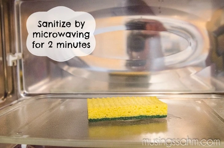 sanitize kitchen sponge microwave