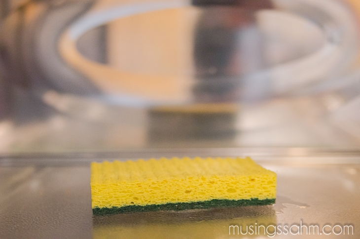 sanitized kitchen sponge