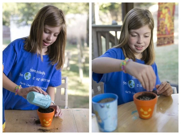 Grass Seed Cup Craft