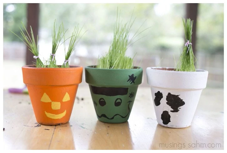 Halloween Grass Heads: kids will love making their own scary pot, then planting and caring for their grass. Once it's grown, they can cut it and tie the grass into fun styles!