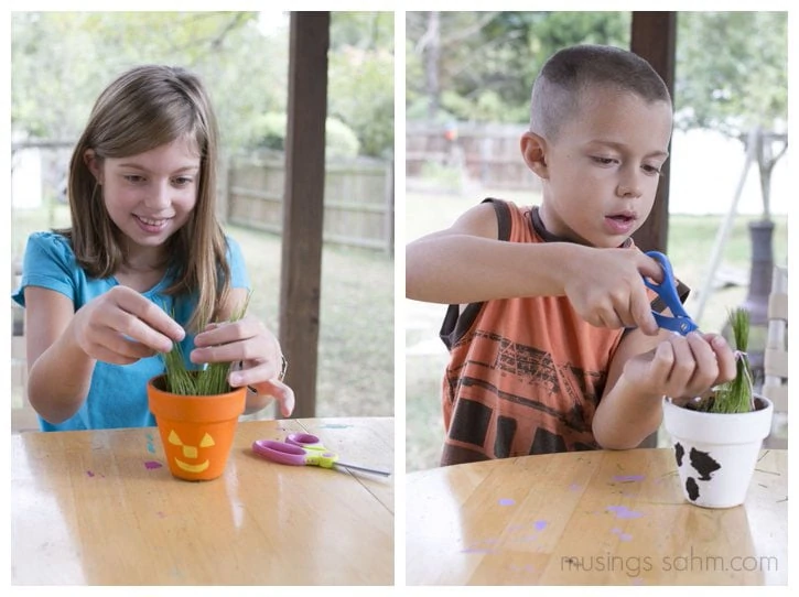 Hair Styling with Halloween Grass Heads