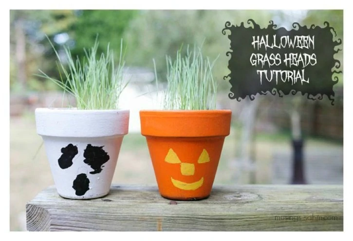 Halloween Grass Heads: kids will love making their own scary pot, then planting and caring for their grass. Once it's grown, they can cut it and tie the grass into fun styles!