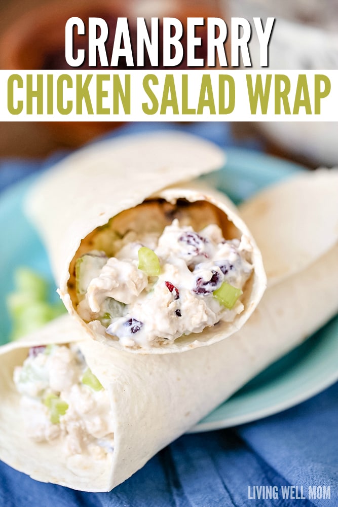 Close up of a cranberry chicken salad wrap