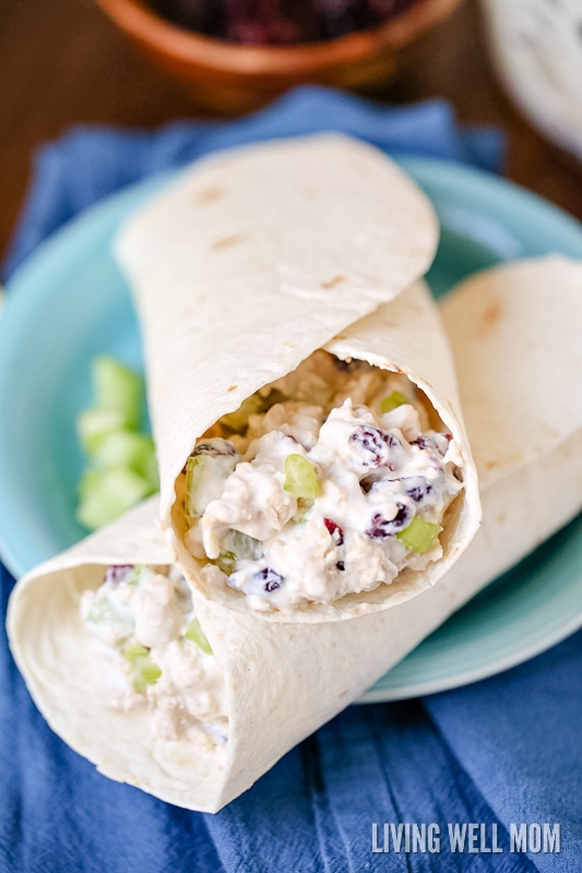 Close up of a chicken salad wrap on a teal plate