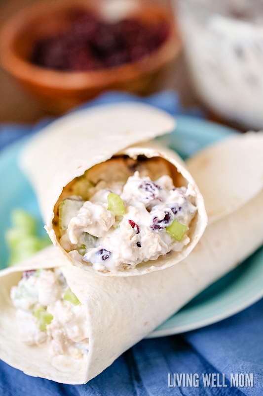 Chicken salad with mayo, celery, cranberries