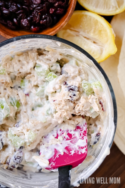 Chicken salad with mayo and celery