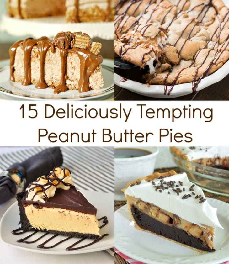 15 Deliciously Tempting Peanut Butter Pies Living Well Mom