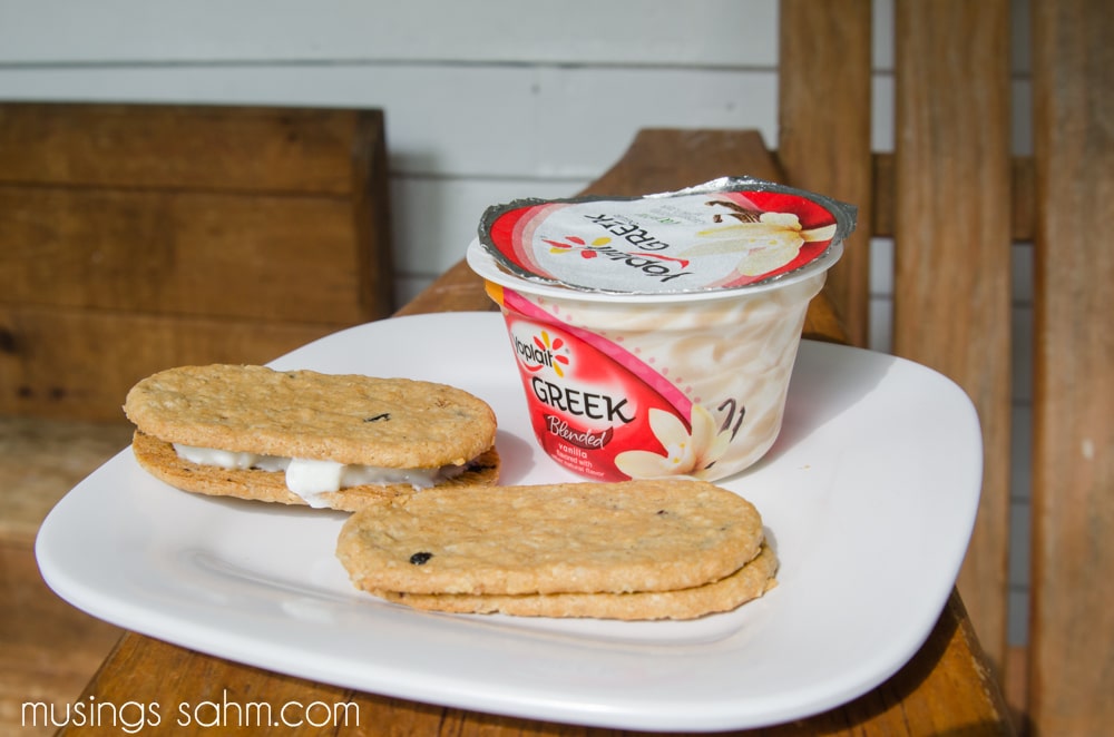 Greek Yogurt Crumble Snack from Yoplait & Nature Valley Living Well Mom