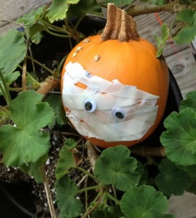 mummy pumpkin 