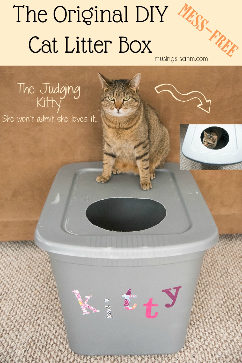 DIY Mess Free Cat Litter Box - Simple (anyone can do it), really cheap, and best of all IT WORKS!
