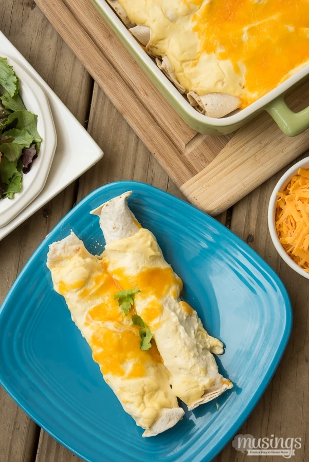 Creamy Chicken Enchiladas