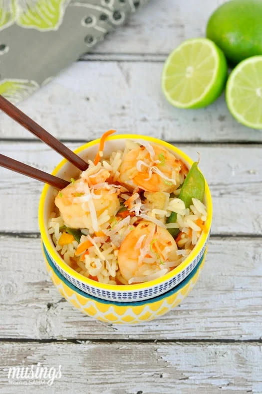 With flavorful spices, snow peas, coconut, jumbo shrimp, and more, Crockpot Thai Shrimp and Rice is not your average slow cooker meal. 