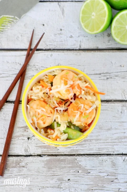 With flavorful spices, snow peas, coconut, jumbo shrimp, and more, Crockpot Thai Shrimp and Rice is not your average slow cooker meal. 