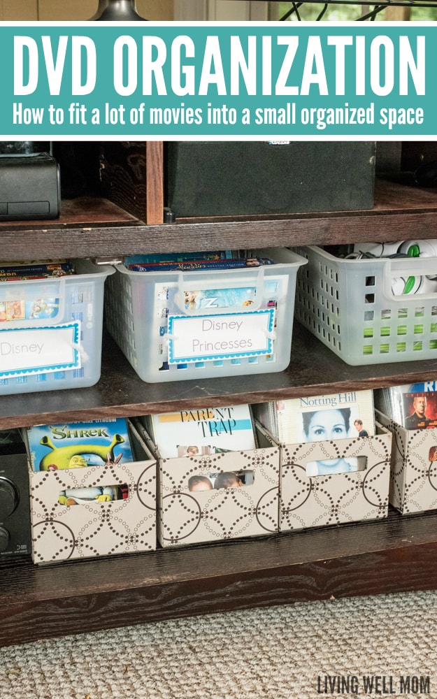 DVDs organized into bins on a shelf