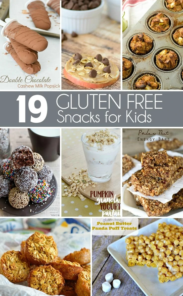 From snack balls packed with protein to pizza bites and paleo trail mix, here's 19 delicious recipes for Gluten Free Snacks that even the pickiest kid will love!