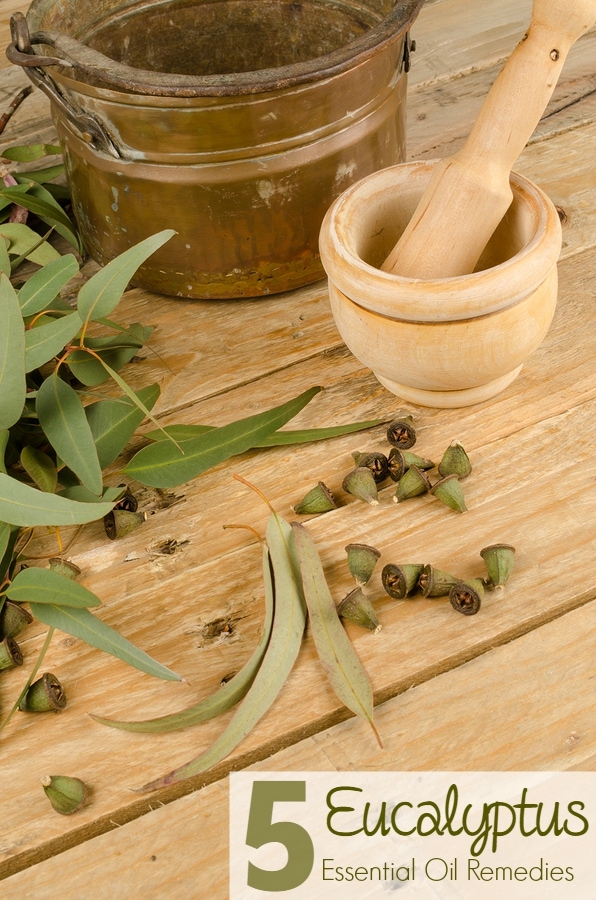 5 Eucalyptus Essential Oil Natural Remedies