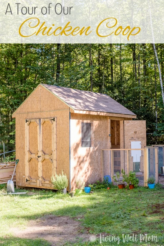 Come tour our chicken coop. I’ll show you around our homemade coop and share a few tricks we’ve learned about keeping backyard chickens.