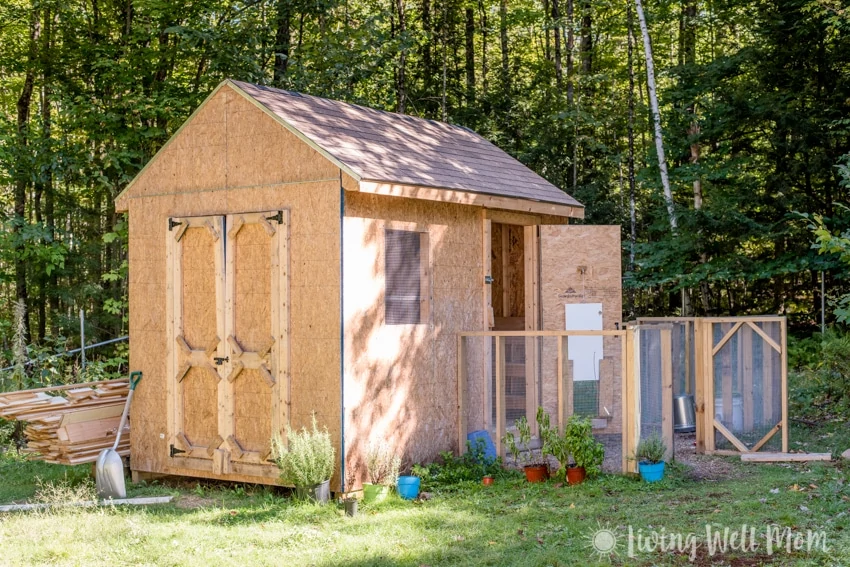 Come tour our chicken coop. I’ll show you around our homemade coop and share a few tricks we’ve learned about keeping backyard chickens.