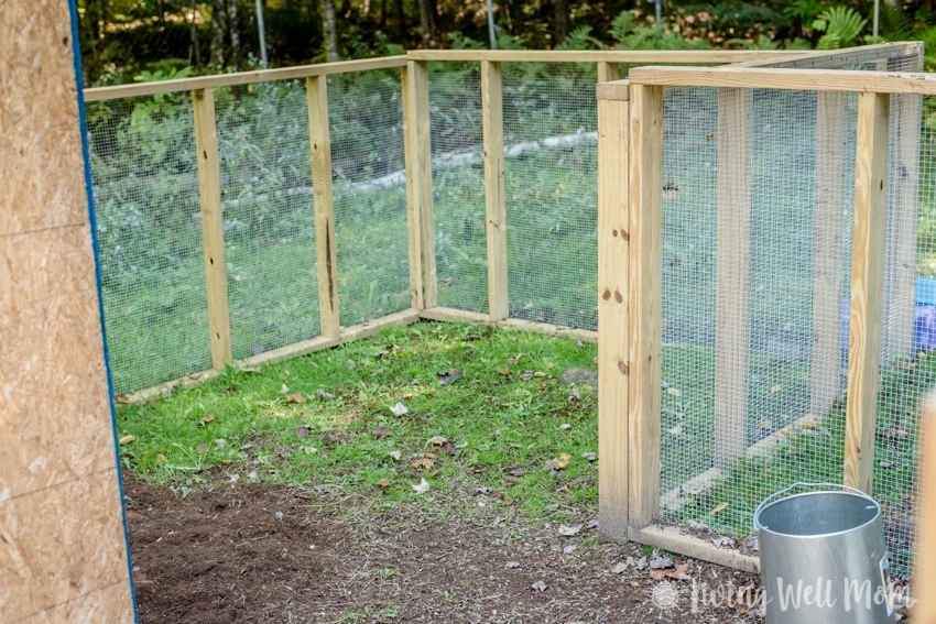 Come tour our chicken coop. I’ll show you around our homemade coop and share a few tricks we’ve learned about keeping backyard chickens.