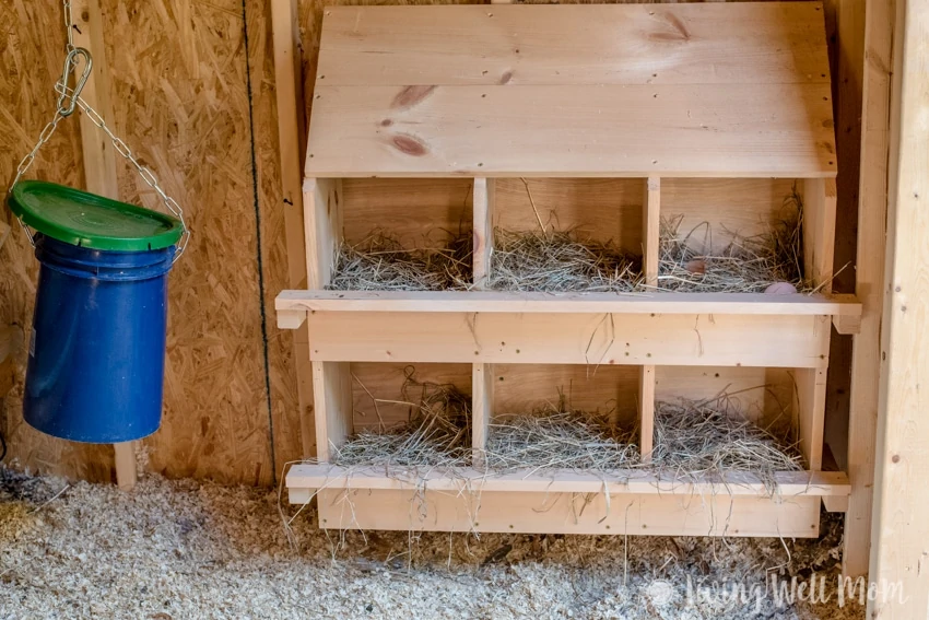 Homemade Wooden Nestboxes - Come tour our chicken coop. I’ll show you around our homemade coop and share a few tricks we’ve learned about keeping backyard chickens.