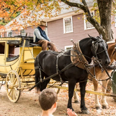 A horse drawn carriage in front of a house
