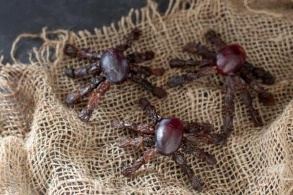 edible spider fruit snacks