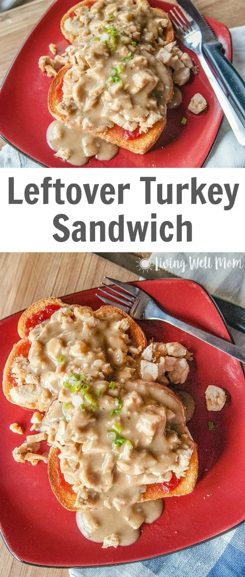 The cranberry sauces adds a subtle sweetness to this Leftover Turkey Sandwich, while it's deliciously savory from the turkey and turkey gravy. All that combined with seasonings will remind you of Thanksgiving dinner all over again with this easy recipe!