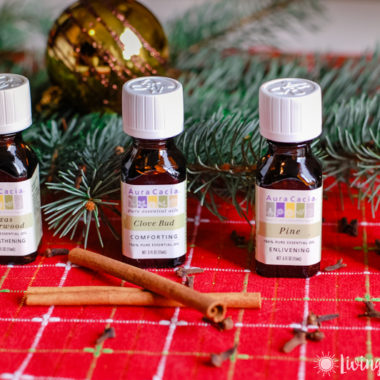 Here's a simple Christmas essential oils blend you can make yourself! This is an easy all-natural way to fill your home with your favorite Christmas scents, like pine and cinnamon.