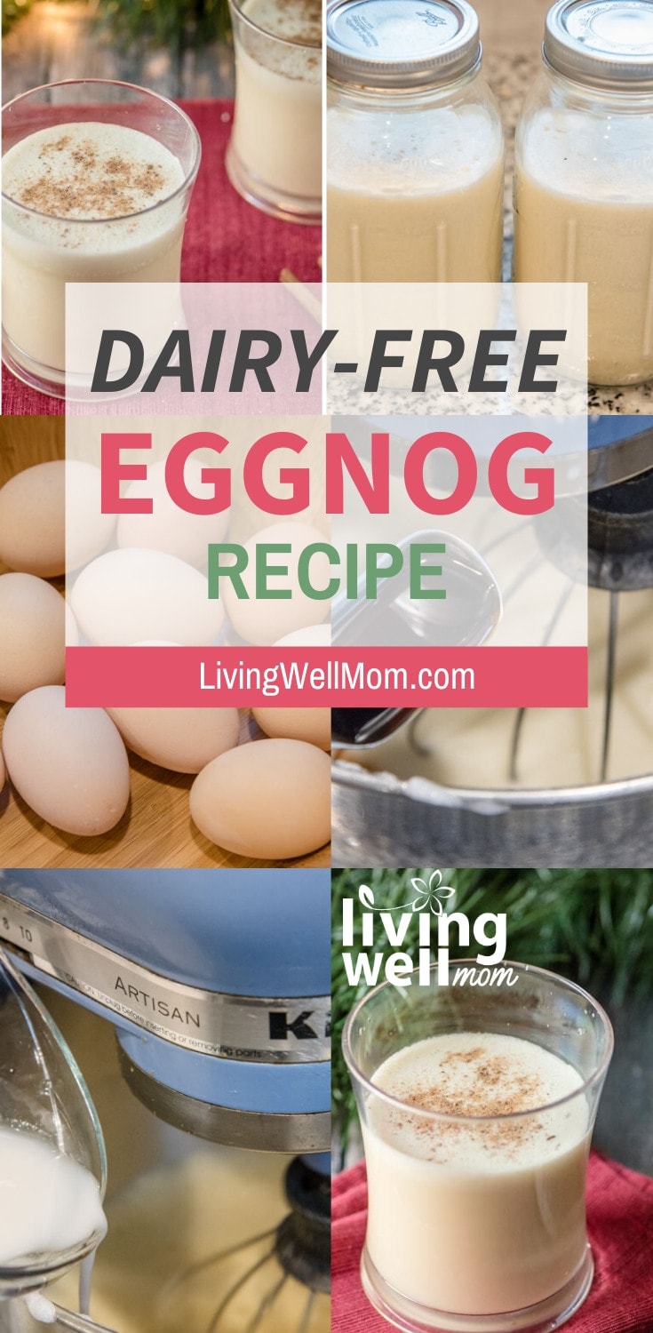 dairy-free eggnog recipe